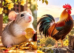 Tháng 11, 12 dương lịch: 3 tuổi Bất Ngờ Có Thêm Khoản Thu, vui như Trúng Giải Đặc Biệt