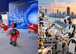 Thị trường robot công nghiệp Việt Nam dự báo tăng trưởng kép 12,88% đến năm 2031