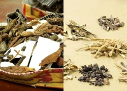 Tự dùng thuốc nam, thuốc gia truyền: Những rủi ro tiềm ẩn người dân cần biết