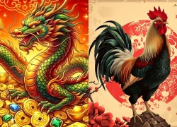 Từ 26/10 đến 31/10: 3 tuổi Công Việc Hanh Thông, Nằm Không Có Của