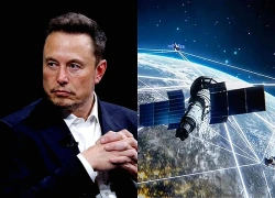 Tỷ phú Elon Musk nêu lý do siết tốc độ Starlink của Ukraine, Nga lên tiếng