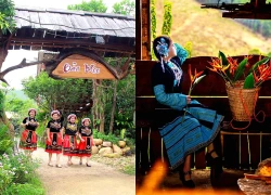 Vẻ đẹp Bản Meo