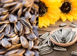 Vì sao không nên ăn quá nhiều hạt hướng dương khi giảm cân?