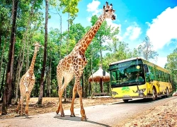 An Giang định vị trung tâm du lịch sinh thái, tâm linh và năng lượng ĐBSCL