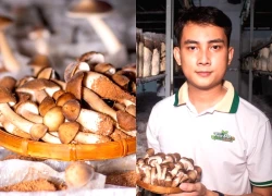 Bỏ phố về quê, chàng trai 3 bằng đại học khởi nghiệp trồng nấm