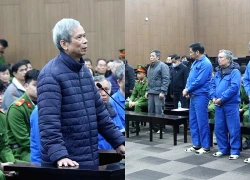 Cựu Chủ tịch Vicem Lê Văn Chung lĩnh 13 năm tù