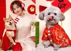 Dẫn thú cưng đến studio chuyên nghiệp, chụp ảnh chân dung ăn Tết: Dịch vụ đang hot, giá cả ra sao?