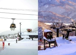 Du khách tử vong vì vướng ba lô vào cáp treo