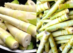 Măng tre có tác dụng gì?