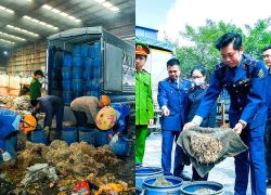 Hải Phòng tiêu hủy hơn 5 tấn giá đỗ ngâm hóa chất "nước kẹo"