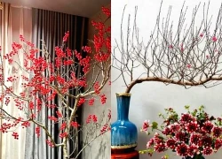 Mẹo chọn đào đẹp và phong thủy cho ngày Tết 2026