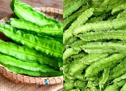 Đậu rồng, từ món rau dân dã đến nguồn dược liệu tiềm năng