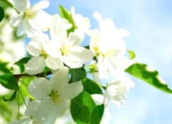 Số cuối ngày sinh Âm lịch tiết lộ người sâu sắc, đã cam kết là không rời bỏ