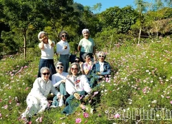 Trang trại hữu cơ Sen Vàng - Nơi thiên nhiên và lòng người hòa quyện