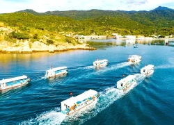 Vịnh Vĩnh Hy - Bản giao hưởng xanh giữa lòng đại dương