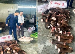 Gần 6 tấn chân trâu bò bốc mùi hôi thối trong hai kho đông lạnh