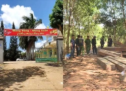 Giám đốc công ty lâm nghiệp bị bắt vì cáo buộc nhận hối lộ