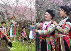 Hoa đào khoe sắc nơi biên cương Tùng Vài