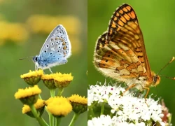 Những tháng sinh Âm lịch nằm trong nhóm dễ có hôn nhân hạnh phúc