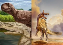 Phát hiện loài khủng long chưa từng được biết đến trên sa mạc Sahara