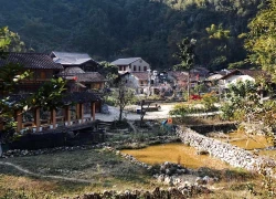 7 trải nghiệm độc đáo ít người biết dịp Tết Nguyên đán ở Việt Nam