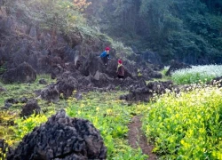Bản Tà Phình: Ngôi làng Đá Dựng hoang sơ tại Mộc Châu cho kỳ nghỉ cuối tuần