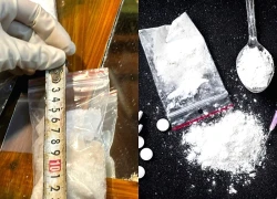 Cảnh sát đột kích, phát hiện gã đàn ông cất giấu 1,5kg ma túy trong nhà