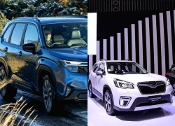 Cập nhật bảng giá ô tô Subaru mới nhất tháng 2/2026