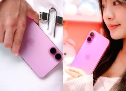 Chiếc iPhone bán chạy nhất thế giới đang giảm sâu đáng mua dịp cận Tết