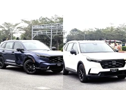 Chuyển sang lắp ráp trong nước, giá xe Honda CR-V hybrid chỉ giảm 9 triệu