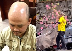 Công an mời người chặt cành hoa mai anh đào ở Đà Lạt lên làm việc