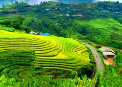 (Emagazine) Gặp mùa xuân ở Sin Suối Hồ