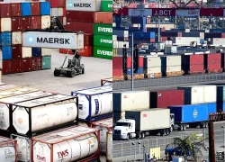EU dỡ bỏ lệnh đóng băng thỏa thuận thương mại với Mỹ