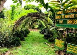 Singapore: 3 điểm đến bí ẩn cho hành trình khám phá đảo quốc đầu năm mới