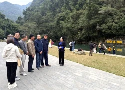 Sức hút từ trải nghiệm "du xuân miền non nước"