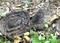 Thông tin mới nhất về 65 viên đá có họa tiết bí ẩn tại Vườn quốc gia Yok Đôn