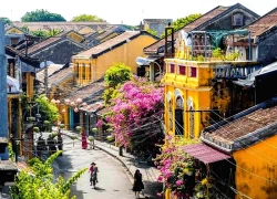 Từ Việt Nam ra châu Á: Theo hành trình sắc xuân