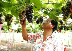 Xuân Phú hướng đến phát triển du lịch xanh