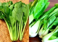 Ăn loại rau xanh này có thể hỗ trợ phòng ngừa đột quỵ