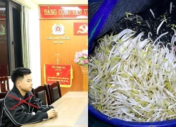 Bắt giữ đối tượng sản xuất gần 2,8 tấn giá đỗ sử dụng chất cấm ở Ninh Bình