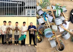 Bắt nhóm chuyên trộm mèo ở TPHCM