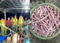 Bắt quả tang tàu dùng máy bơm khai thác sá sùng trái phép