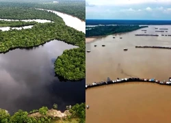 Brazil tạm dừng nạo vét sông Amazon