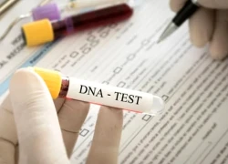 Xét nghiệm ADN ngày lễ: Từ niềm vui đoàn tụ đến bí mật gia đình bị phơi bày