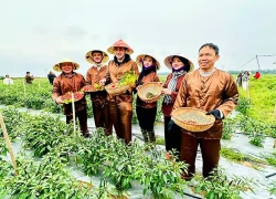 Đa Phúc - điểm đến du lịch xanh