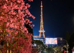 Góc Paris giữa lòng Đà Lạt khiến du khách mê mẩn