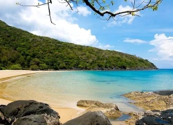 Côn Đảo - top 5 điểm đến trăng mật tuyệt nhất năm 2026