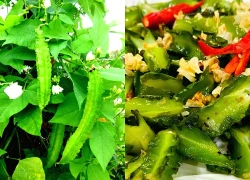 Loại quả Việt bề ngoài xanh lét, sần sùi lại là 'vàng xanh' cả thế giới săn lùng, hỗ trợ kiểm soát đường huyết hiệu quả