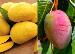 Loại quả bán quanh năm ở chợ, kích thích tiêu hóa, giảm căng thẳng