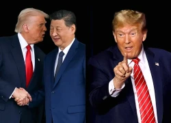 Ông Trump nêu thời điểm ông Tập thăm Mỹ
